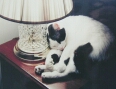 full image
88k
