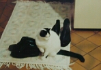full image 88k